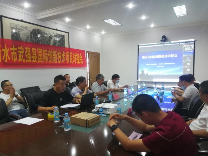 Hengshui International Innovative Technologie Das Projekt Online Docking Meeting fand in Wuqiang statt